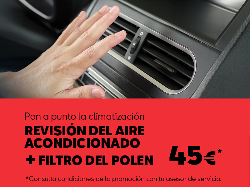 Revisión de aire acondicionado + filtro de polen por 45€ en SEAT Surmoción